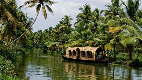 'indian kerala' Search .